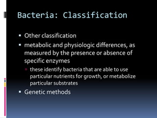 BacteriaStructure