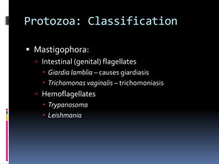 Flagellated Protozoa