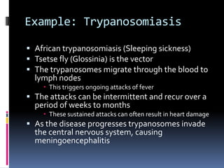 Protozoa: ClassificationMastigophora:Intestinal (genital) flagellatesGiardialamblia – causes giardiasisTrichomonasvaginalis – trichomoniasisHemoflagellatesTrypanosomaLeishmania