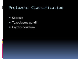Back to ProtozoanClassificationApicomplexa – Only one class that is relevant for humans:Sporoza: These parasites cause malaria and toxoplasmosis, as well as intestinal infections