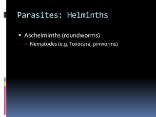 Trematodes (liver fluke)