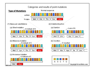 Type of Mutations
 