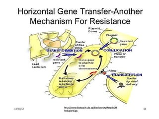 Microbial Inheritance Lecture 7 microbial genetics | PPTX