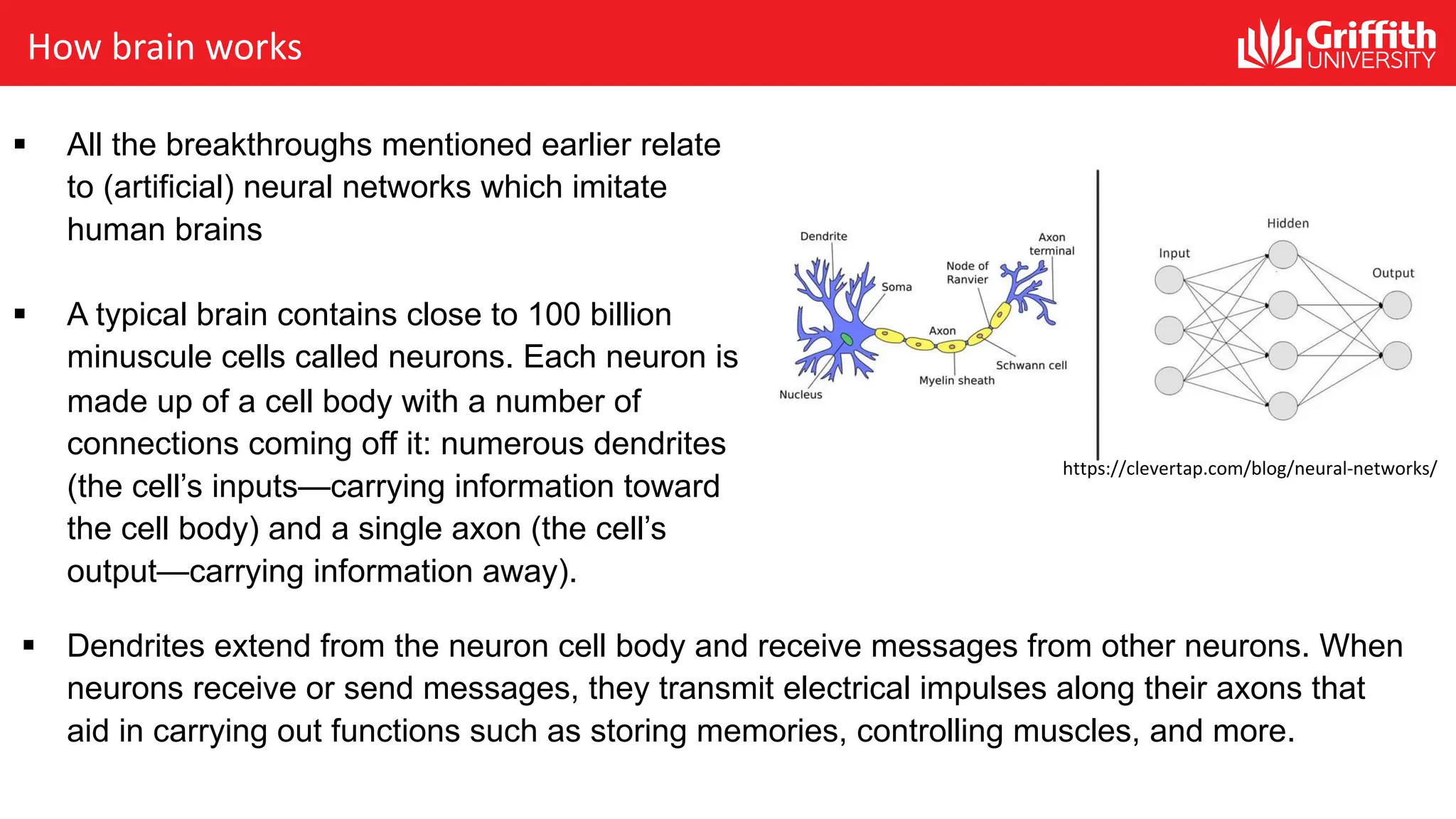 How brain works § All the breakthroughs mentioned earlier relate to (artificial) neural networks which imitate human brains § A typical brain contains close to 100 billion minuscule cells called neurons. Each neuron is made up of a cell body with a number of connections coming off it: numerous dendrites (the cell’s inputs—carrying information toward the cell body) and a single axon (the cell’s output—carrying information away). § Dendrites extend from the neuron cell body and receive messages from other neurons. When neurons receive or send messages, they transmit electrical impulses along their axons that aid in carrying out functions such as storing memories, controlling muscles, and more. https://clevertap.com/blog/neural-networks/ 