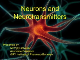 Neurons and
Neurotransmitters
Presented by:
Mr.Vijay salvekar
Associate Professor
GRY Institute of Pharmacy,Borawan
 