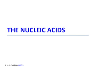 THE NUCLEIC ACIDS
© 2016 Paul Billiet ODWS
 