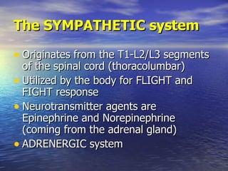 The SYMPATHETIC system <ul><li>Originates from the T1-L2/L3 segments of the spinal cord (thoracolumbar) </li></ul><ul><li>...