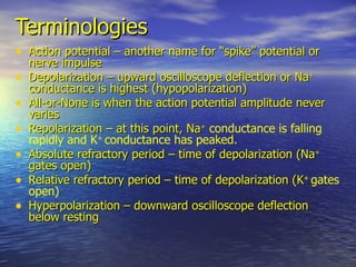 Terminologies <ul><li>Action potential – another name for “spike” potential or nerve impulse </li></ul><ul><li>Depolarizat...