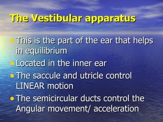 The Vestibular apparatus <ul><li>This is the part of the ear that helps in equilibrium </li></ul><ul><li>Located in the in...