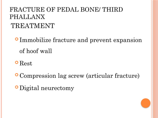 Sand Toe Lecture 7 Sand crack, seedy toe, fractures of third phalanx, pedal ...