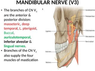 LECTURE 7 TEMPORAL & INFRATEMPORAL FOSSAE.pptx