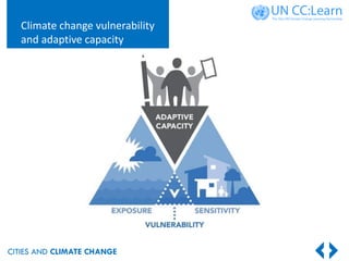 Lecture 7: Urban Climate Change Mitigation and Adaptation | PDF