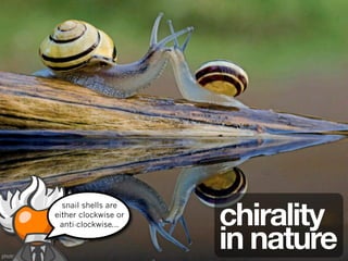 chirality
                         snail shells are
                       either clockwise or



                                             in nature
                        anti-clockwise...


photograph: Willi Rolfes
 