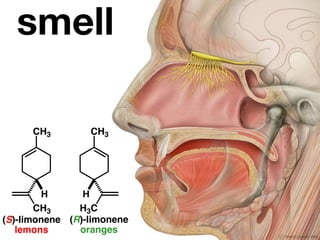 smell

      CH3        CH3




        H       H
       CH3     H3C
(S)-limonene (R)-limonene
   lemons      oranges
 
