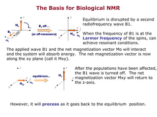 The Basis for Biological NMR Equilibrium is disrupted by a second radiofrequency wave B1. When the frequency of B1 is at the Larmor frequency  of the spins, can achieve resonant conditions.  The applied wave B1 and the net magnetization vector Mo will interact and the system will absorb energy.  The net magnetization vector is now  along the xy plane (call it Mxy). After the populations have been affected,  the B1 wave is turned off.  The net  magnetization vector Mxy will return to  the z-axis. However, it will  precess  as it goes back to the equilibrium  position. 