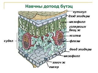 Lecture8 | PPT