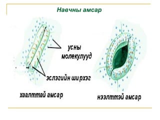 Lecture8 | PPT