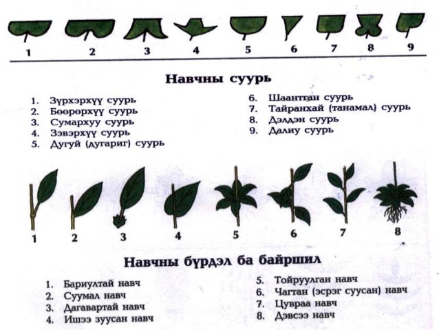 Lecture8