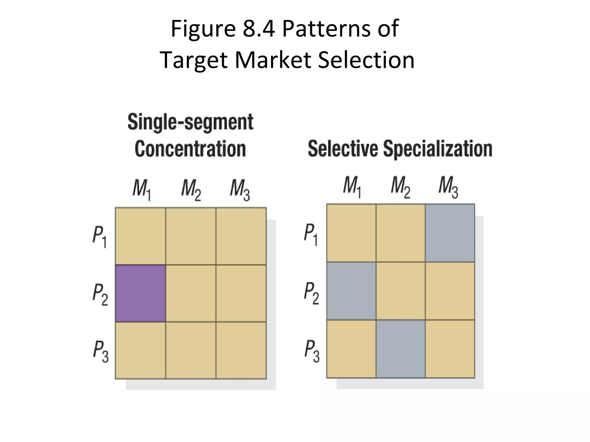 Figure 8.4 Patterns of
Target Market Selection
 