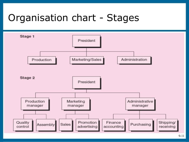 Zoo Organizational Chart