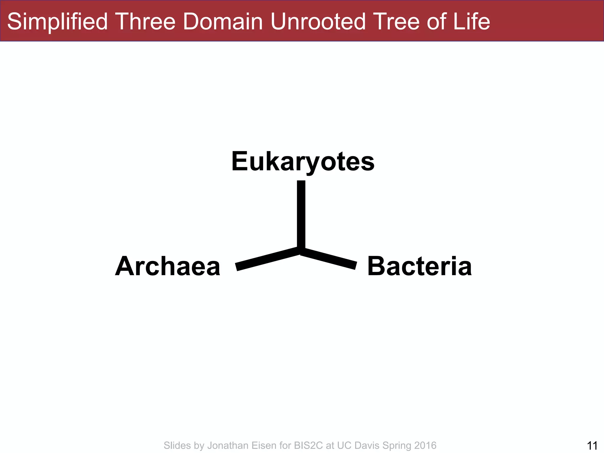 Slides by Jonathan Eisen for BIS2C at UC Davis Spring 2016
Simplified Three Domain Unrooted Tree of Life
11
Eukaryotes
Archaea Bacteria
 