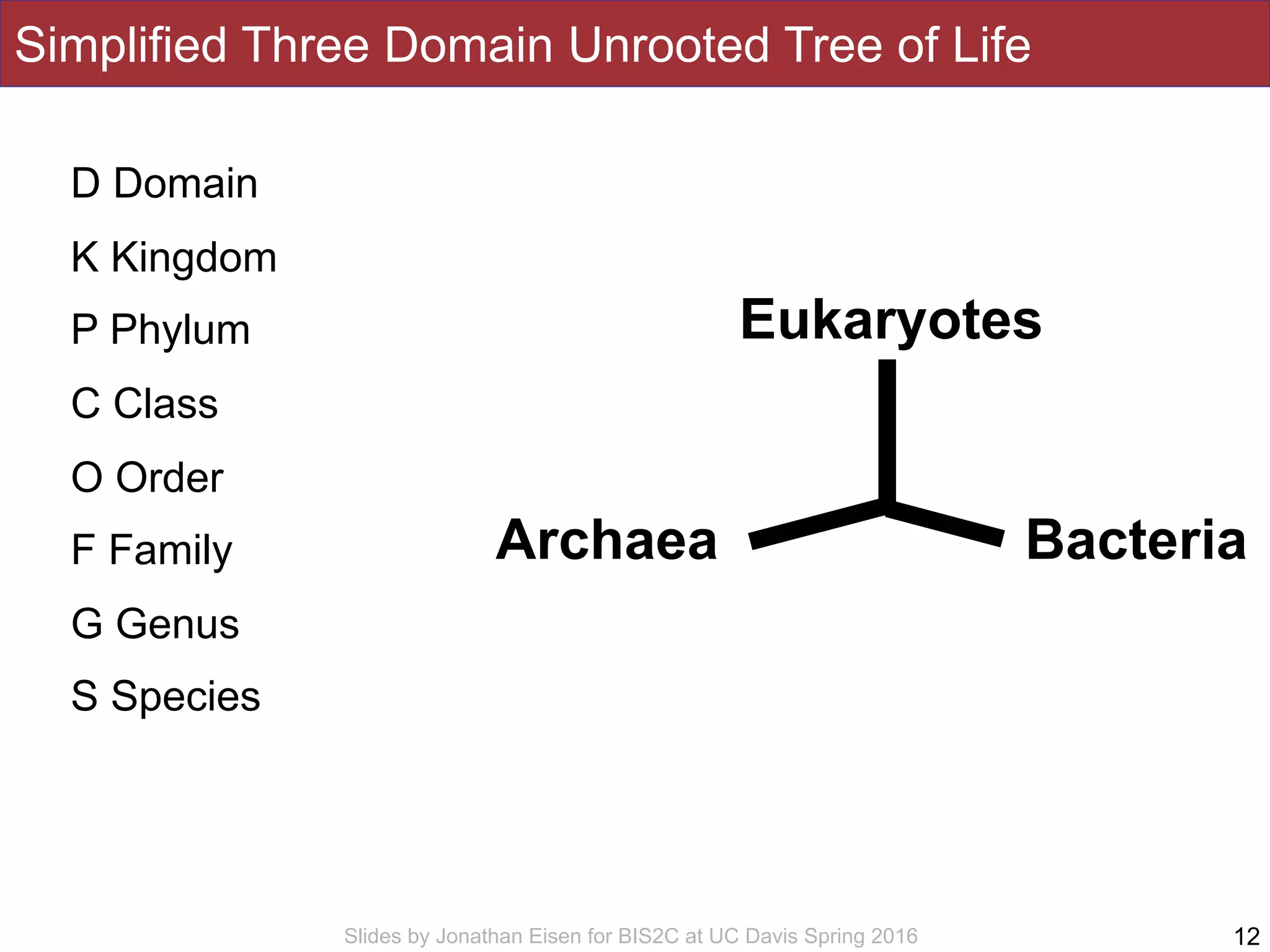 Slides by Jonathan Eisen for BIS2C at UC Davis Spring 2016
Simplified Three Domain Unrooted Tree of Life
12
Eukaryotes
Archaea Bacteria
D Domain
K Kingdom
P Phylum
C Class
O Order
F Family
G Genus
S Species
 