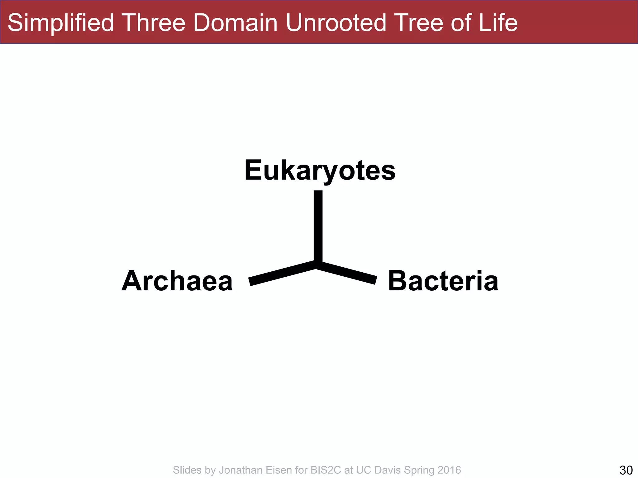 Slides by Jonathan Eisen for BIS2C at UC Davis Spring 2016
Simplified Three Domain Unrooted Tree of Life
30
Eukaryotes
Archaea Bacteria
 