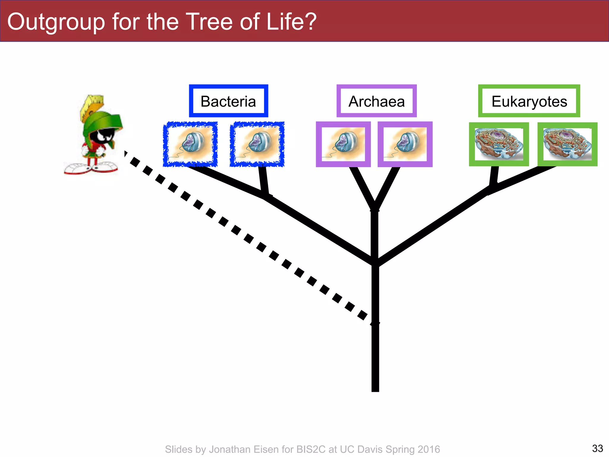Slides by Jonathan Eisen for BIS2C at UC Davis Spring 2016 33
Bacteria Archaea Eukaryotes
Outgroup for the Tree of Life?
 