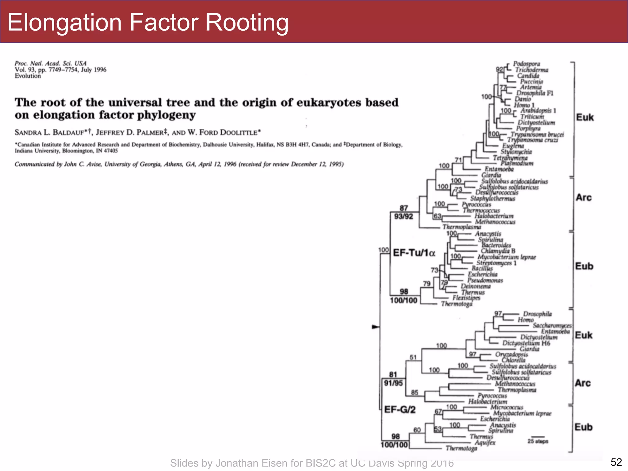 Slides by Jonathan Eisen for BIS2C at UC Davis Spring 2016
Elongation Factor Rooting
52
 