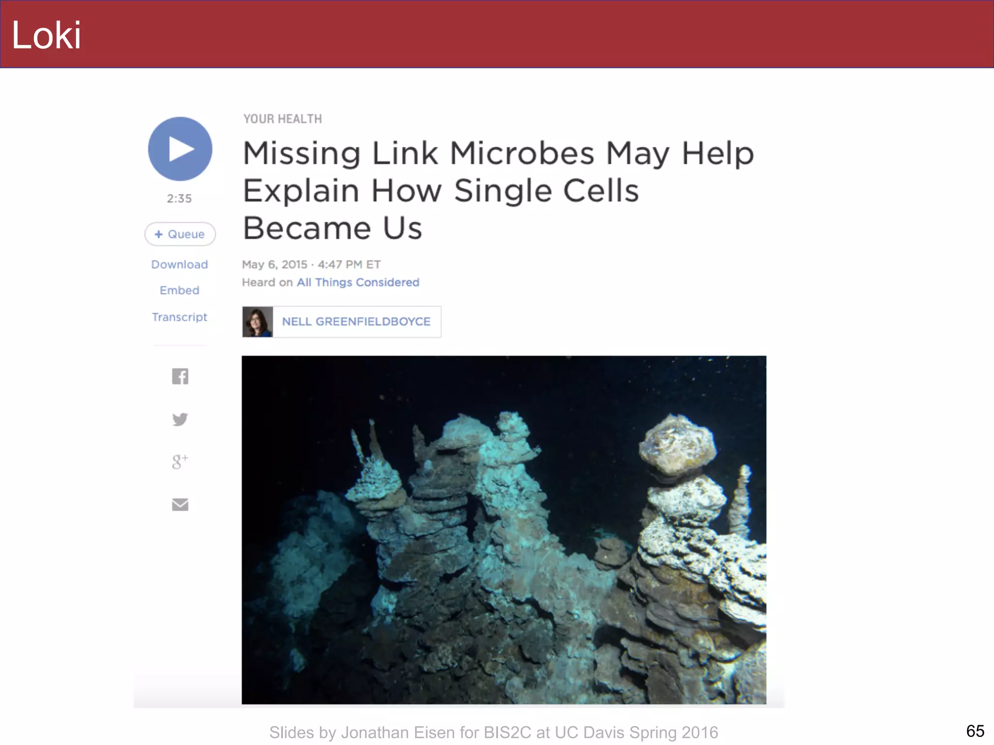 Slides by Jonathan Eisen for BIS2C at UC Davis Spring 2016
Loki
65
 