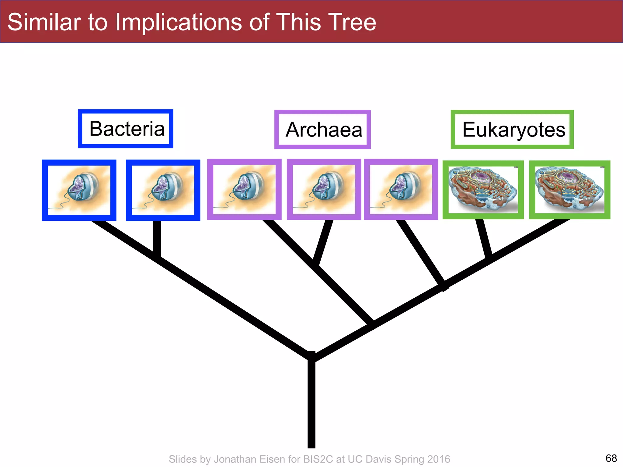 Slides by Jonathan Eisen for BIS2C at UC Davis Spring 2016 68
Bacteria Archaea Eukaryotes
Similar to Implications of This Tree
 