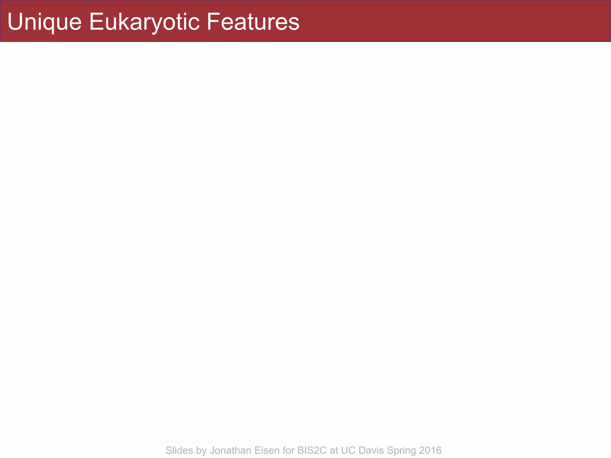 Slides by Jonathan Eisen for BIS2C at UC Davis Spring 2016
Unique Eukaryotic Features
 