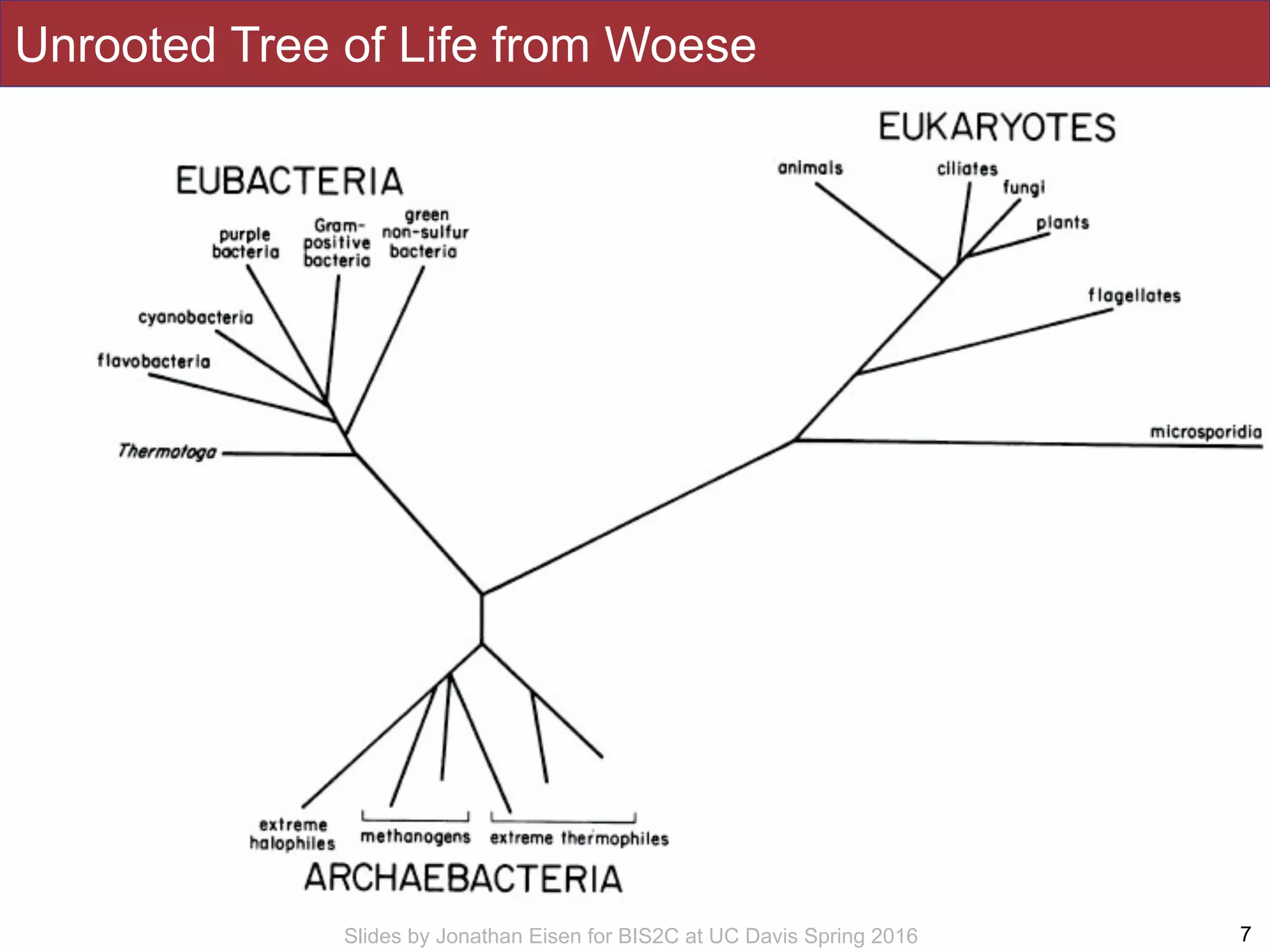 Slides by Jonathan Eisen for BIS2C at UC Davis Spring 2016
Unrooted Tree of Life from Woese
7
 