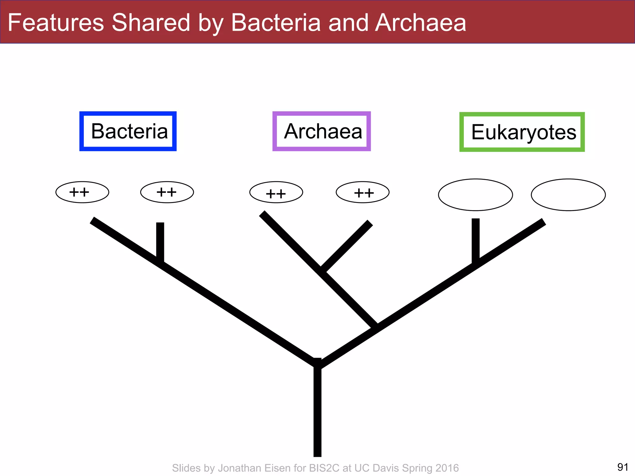 Slides by Jonathan Eisen for BIS2C at UC Davis Spring 2016 91
Bacteria Archaea Eukaryotes
Features Shared by Bacteria and Archaea
++ ++ ++ ++
 