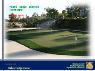 Zaqaziq University
Faculty of Engineering
Department of Architecture
Public Space planting
“softscape”
Ground cover:
 