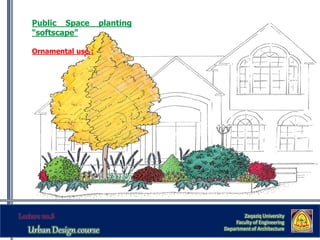 Zaqaziq University
Faculty of Engineering
Department of Architecture
Public Space planting
“softscape”
Ornamental use :
 
