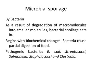 Microbial spoilage
By Bacteria
As a result of degradation of macromolecules
into smaller molecules, bacterial spoilage sets
in.
Begins with biochemical changes. Bacteria cause
partial digestion of food.
Pathogenic bacteria: E. coli, Streptococci,
Salmonella, Staphylococci and Clostridia.
 