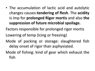 • The accumulation of lactic acid and autolytic
changes causes-tendering of flesh. The acidity
is imp for prolonged Rigor mortis and also the
suppression of future microbial spoilage.
Factors responsible for prolonged rigor mortis
Lowering of temp (Icing or freezing)
Mode of packing or storage: slaughtered fish
delay onset of rigor than asphyxiated.
Mode of fishing: kind of gear which exhaust the
fish
 