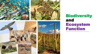 Biodiversity
and
Ecosystem
Function
 