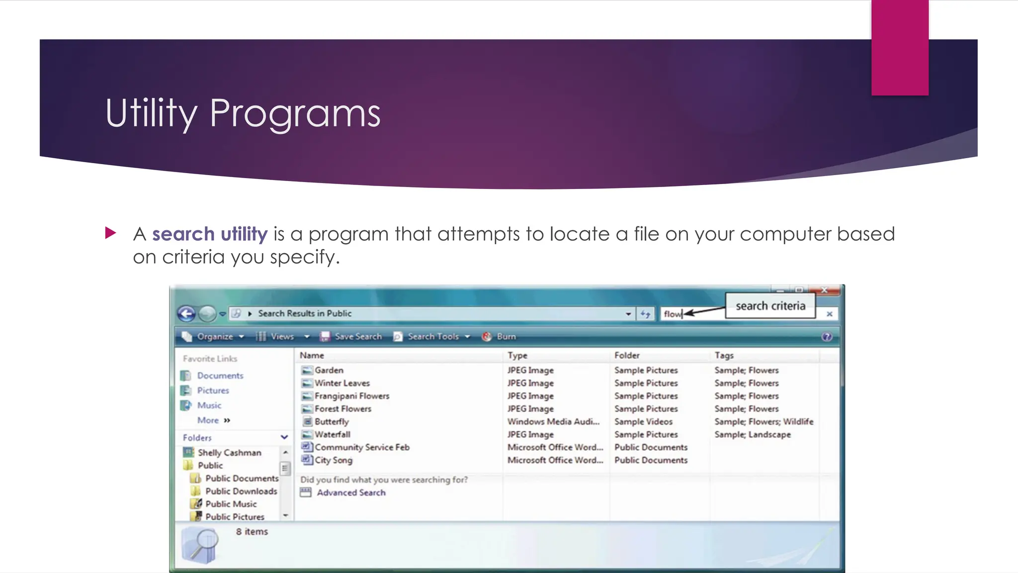 Utility Programs
 A search utility is a program that attempts to locate a file on your computer based
on criteria you specify.
 
