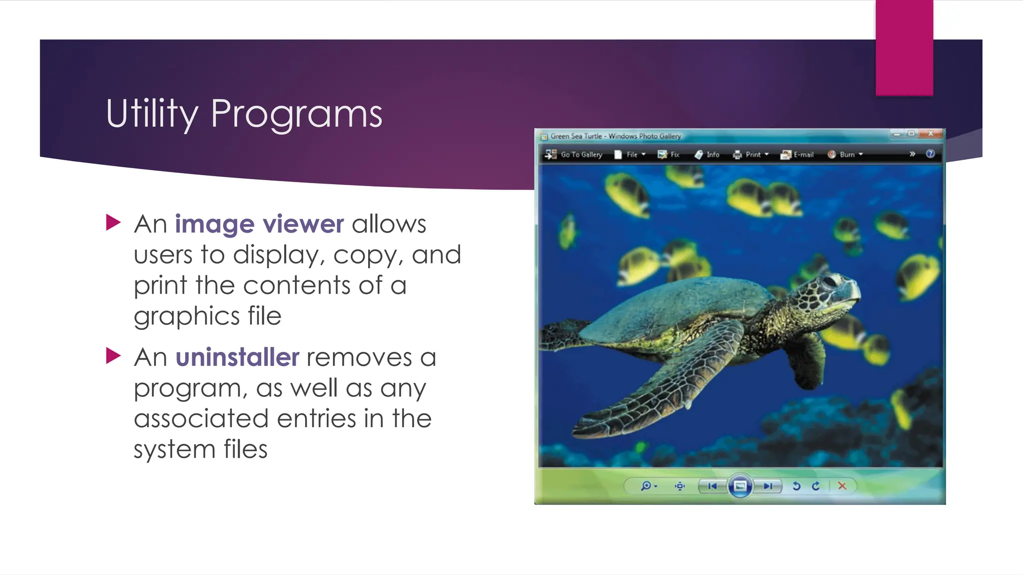 Utility Programs
 An image viewer allows
users to display, copy, and
print the contents of a
graphics file
 An uninstaller removes a
program, as well as any
associated entries in the
system files
 