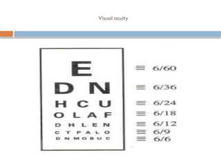 Comprehensive Guide to Ocular Examinations and Visual Acuity Testing | PPTX
