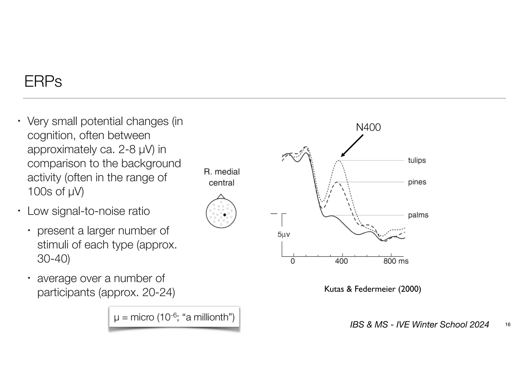 ERPs
16
• Very small potential changes (in
cognition, often between
approximately ca. 2-8 μV) in
comparison to the background
activity (often in the range of
100s of μV)
• Low signal-to-noise ratio
• present a larger number of
stimuli of each type (approx.
30-40)
• average over a number of
participants (approx. 20-24) Kutas & Federmeier (2000)
N400
IBS & MS - IVE Winter School 2024
 