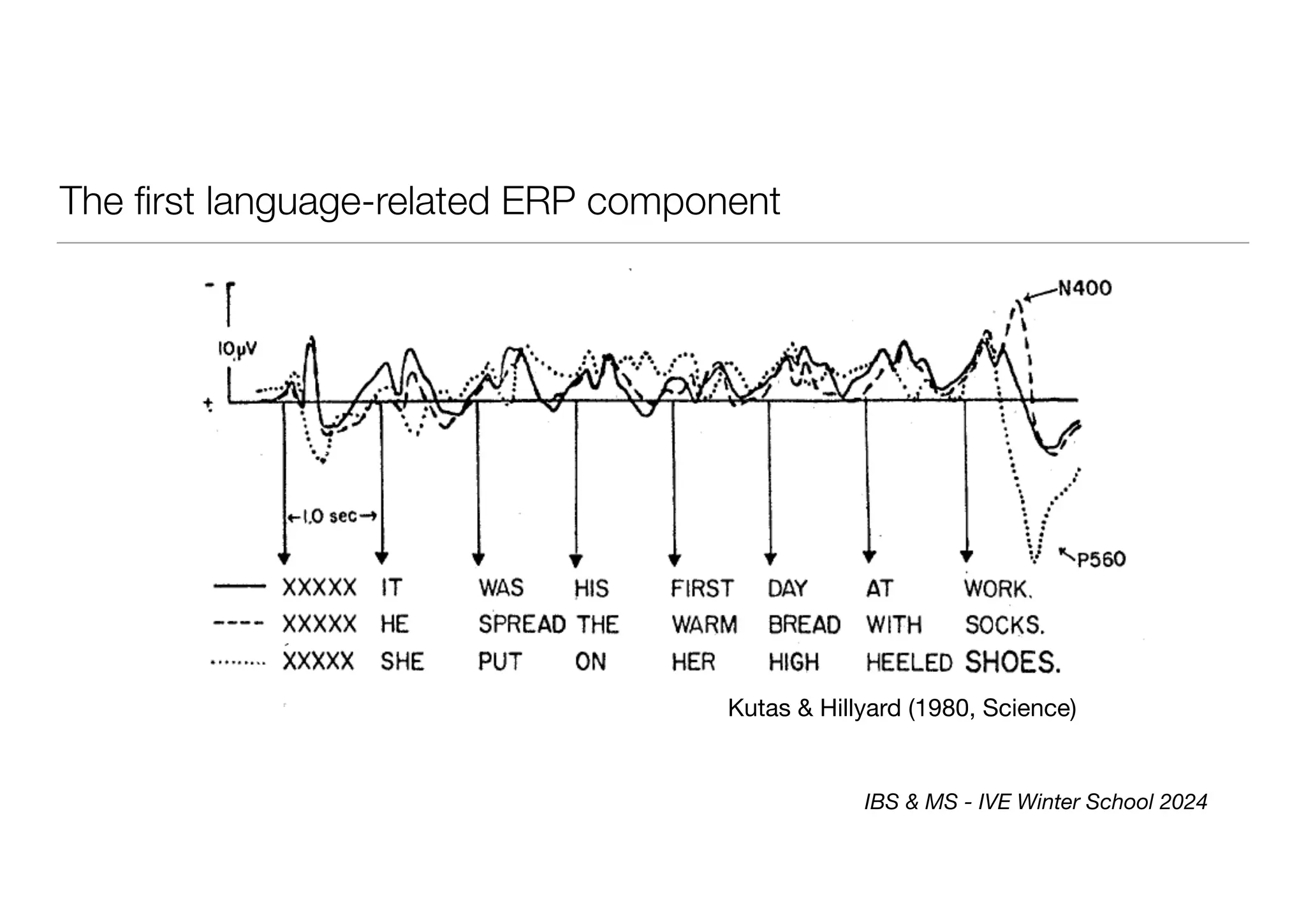 The first language-related ERP component
Kutas & Hillyard (1980, Science)
IBS & MS - IVE Winter School 2024
 