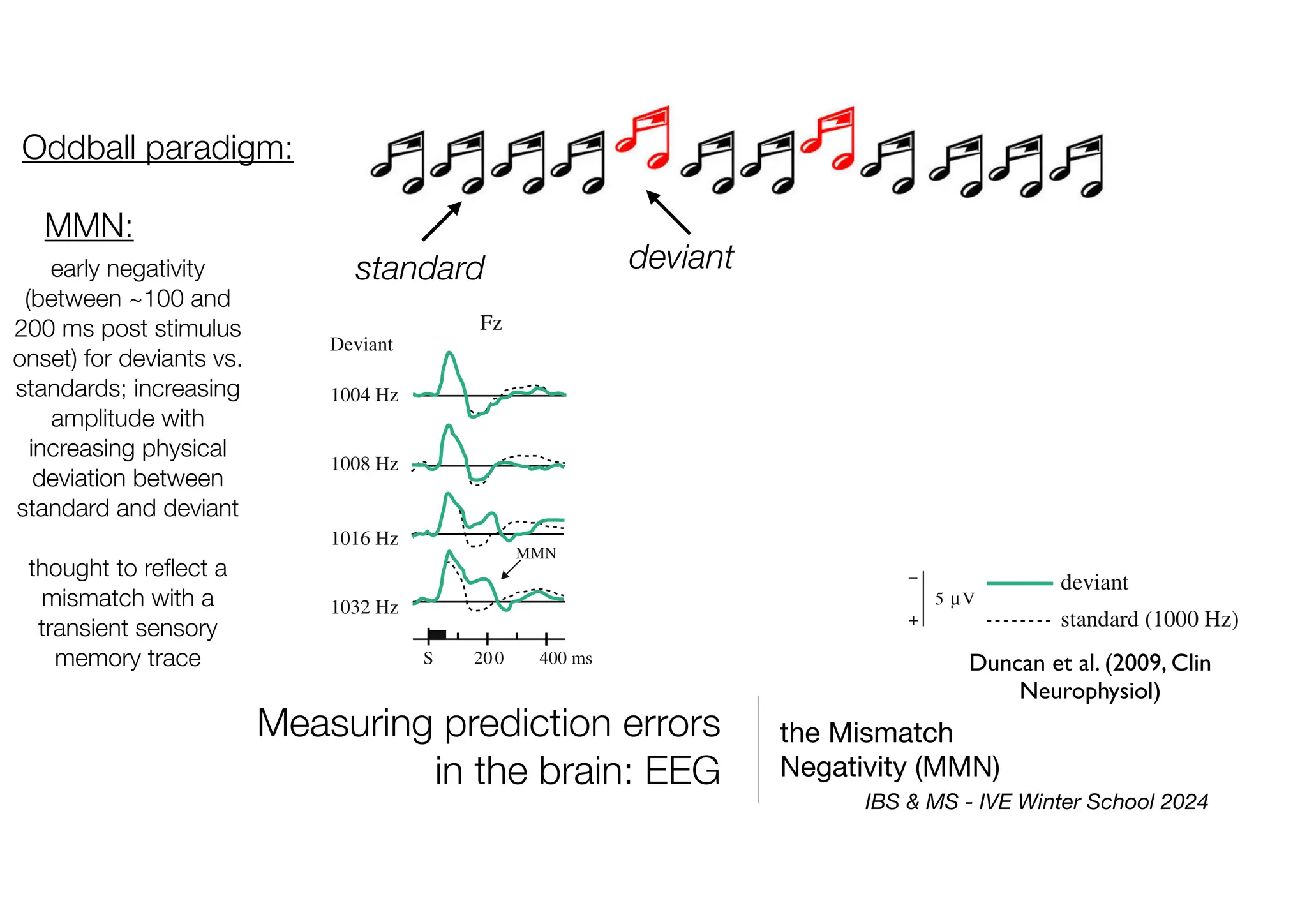 Measuring prediction errors
in the brain: EEG
the Mismatch
Negativity (MMN)
Oddball paradigm:
standard deviant
MMN:
early negativity
(between ~100 and
200 ms post stimulus
onset) for deviants vs.
standards; increasing
amplitude with
increasing physical
deviation between
standard and deviant
thought to re
fl
ect a
mismatch with a
transient sensory
memory trace Duncan et al. (2009, Clin
Neurophysiol)
IBS & MS - IVE Winter School 2024
 
