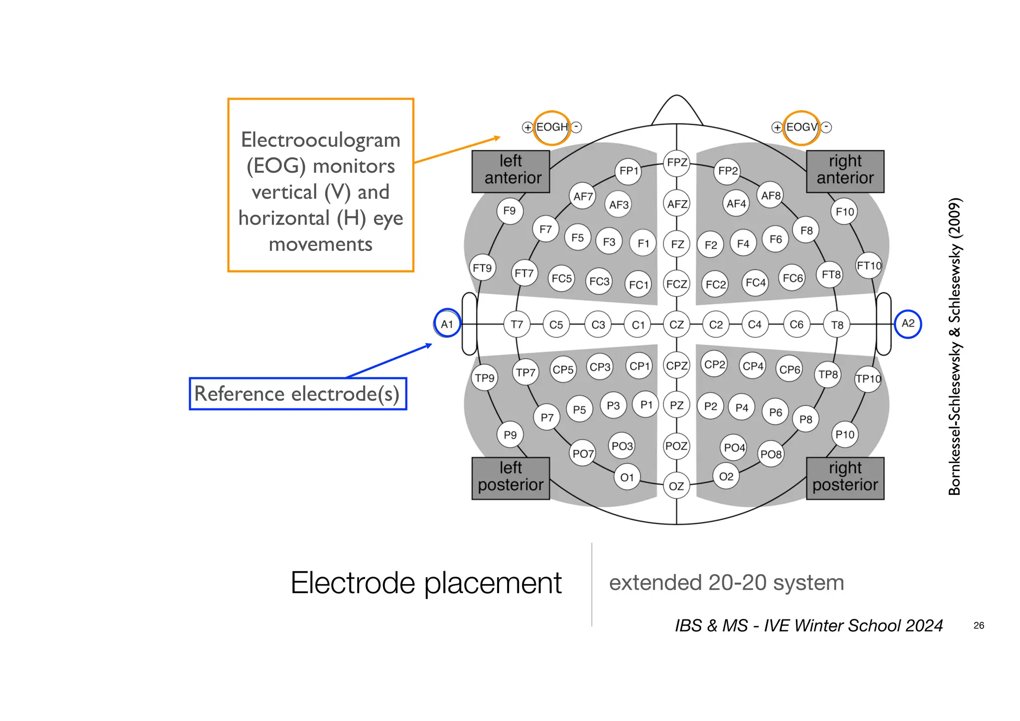 Electrode placement
Bornkessel-Schlesewsky
&
Schlesewsky
(2009)
extended 20-20 system
26
Electrooculogram
(EOG) monitors
vertical (V) and
horizontal (H) eye
movements
Reference electrode(s)
IBS & MS - IVE Winter School 2024
 