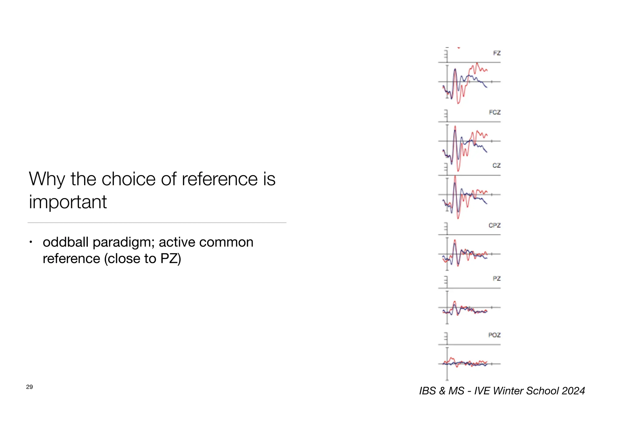Why the choice of reference is
important
• oddball paradigm; active common
reference (close to PZ)
29
IBS & MS - IVE Winter School 2024
 