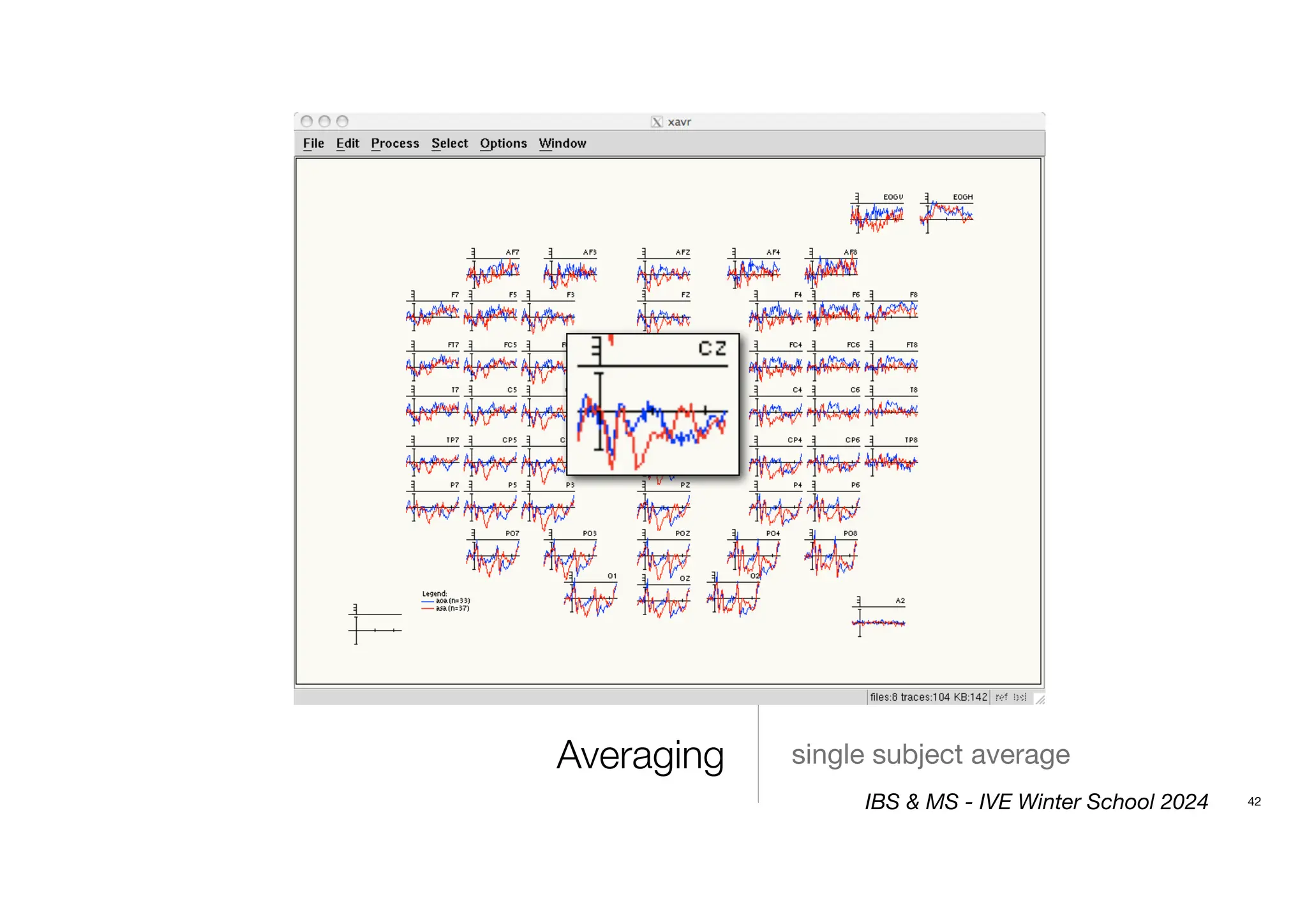 Averaging single subject average
42
IBS & MS - IVE Winter School 2024
 