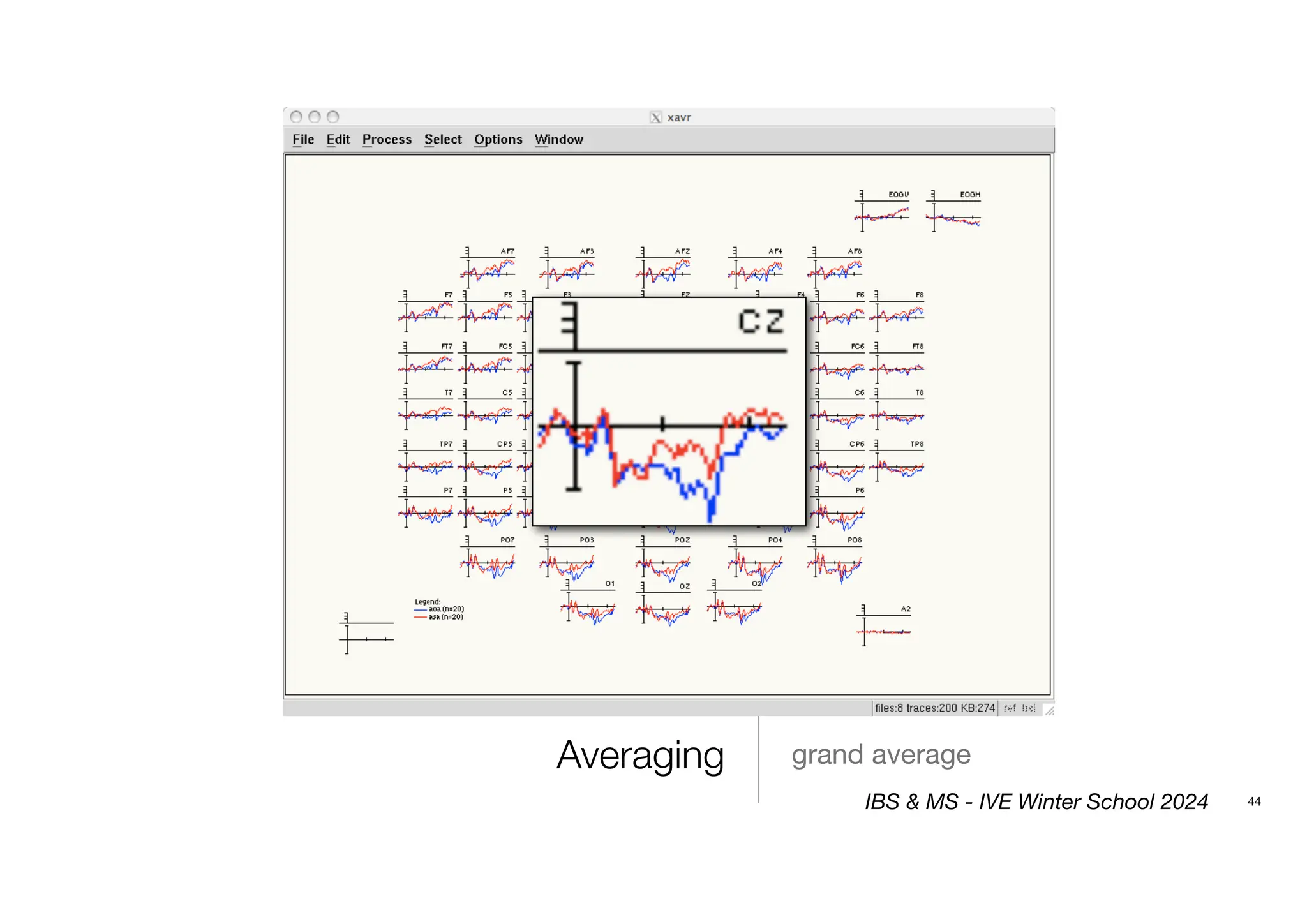 Averaging grand average
44
IBS & MS - IVE Winter School 2024
 