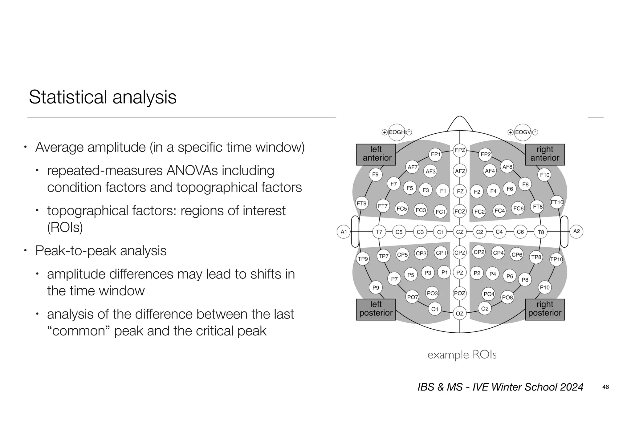 Statistical analysis
46
• Average amplitude (in a specific time window)
• repeated-measures ANOVAs including
condition factors and topographical factors
• topographical factors: regions of interest
(ROIs)
• Peak-to-peak analysis
• amplitude differences may lead to shifts in
the time window
• analysis of the difference between the last
“common” peak and the critical peak
example ROIs
IBS & MS - IVE Winter School 2024
 
